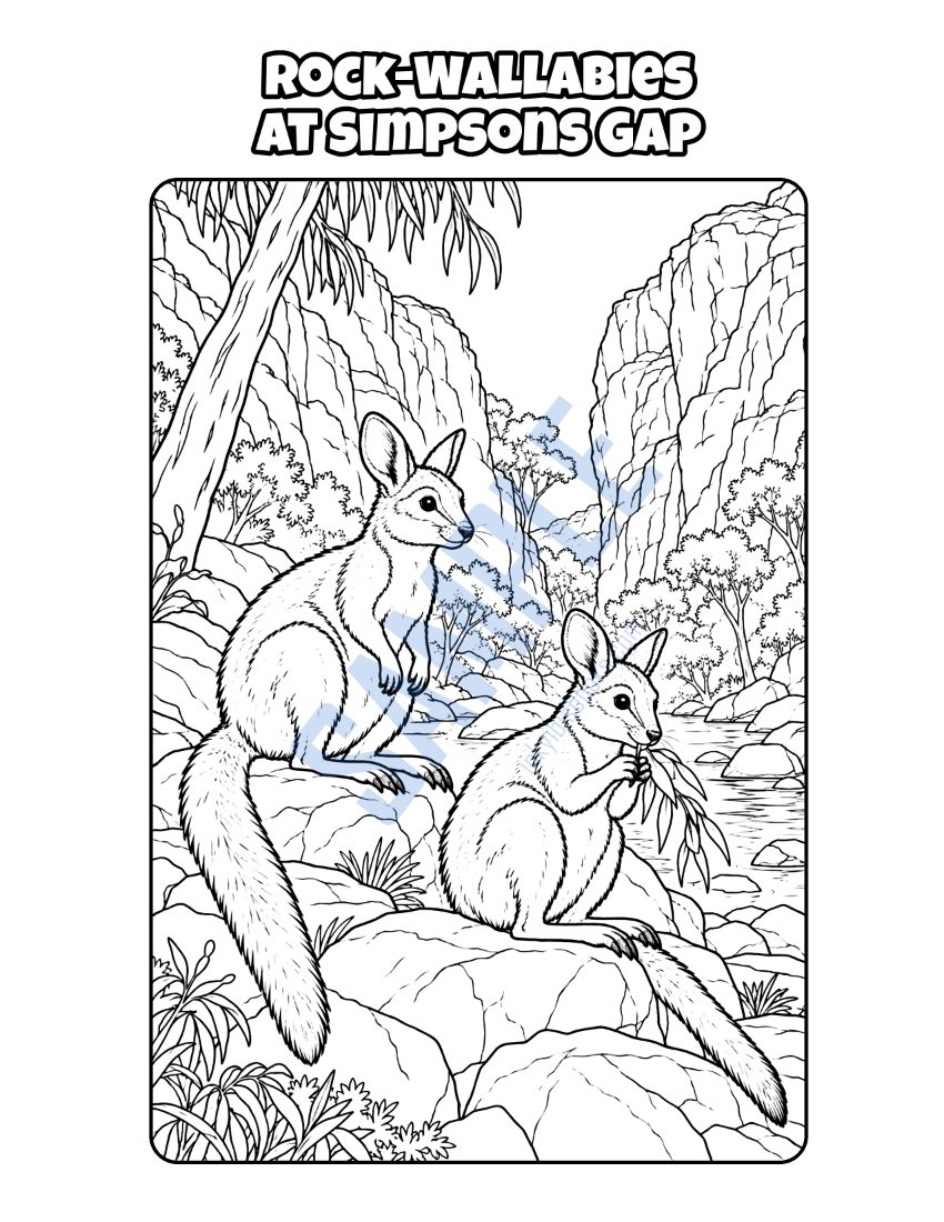 Colouring page from Welcome to Alice Springs: "Rock-Wallabies at Simpsons Gap"