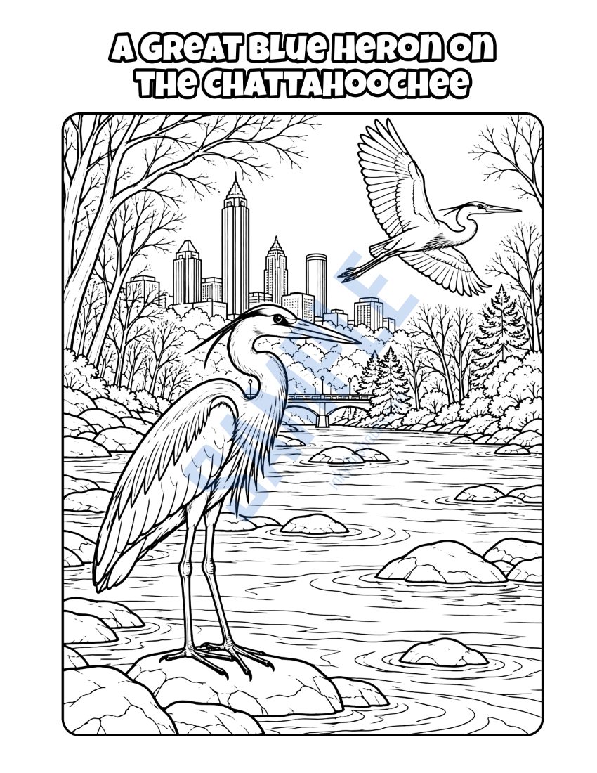 Coloring page from Welcome to Atlanta: "A Great Blue Heron on the Chattahoochee"