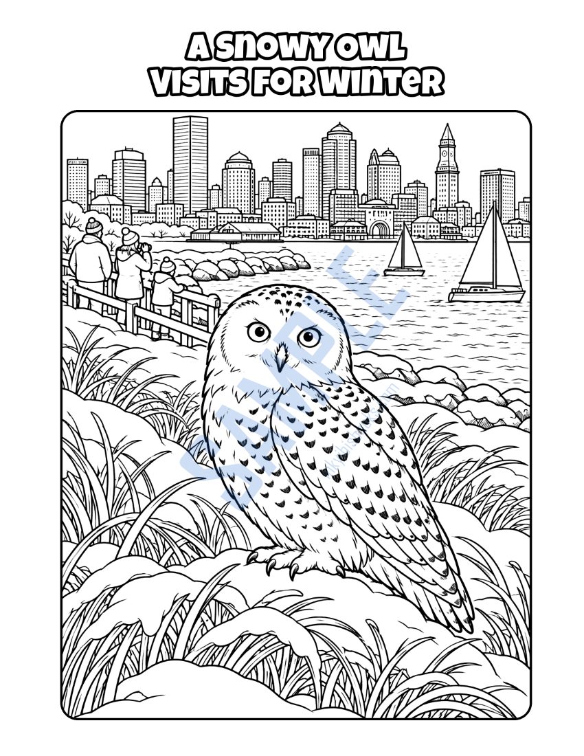 Coloring page from Welcome to Boston: "A Snowy Owl Visits for Winter"