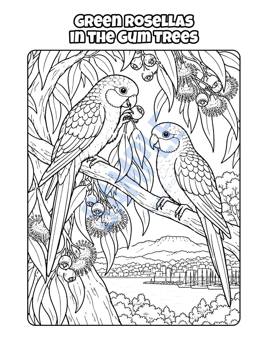 Colouring page from Welcome to Hobart: "Green Rosellas in the Gum Trees"