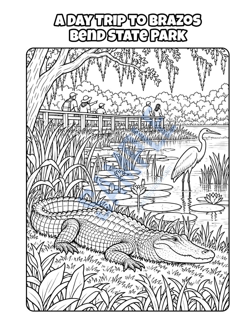 Coloring page from Welcome to Houston: "A Day Trip to Brazos Bend State Park"