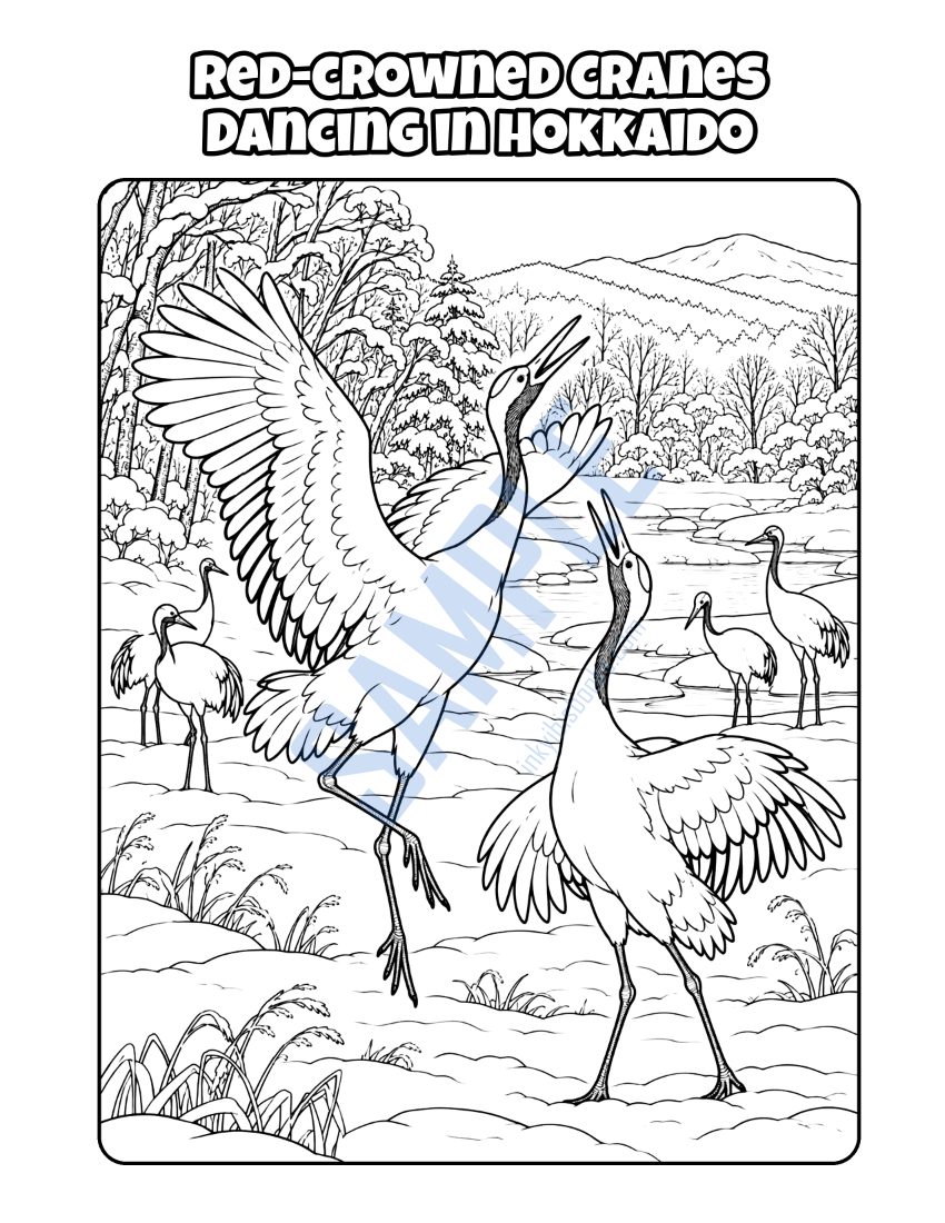 Coloring page from Welcome to Japan: "Red-crowned Cranes Dancing in Hokkaido"
