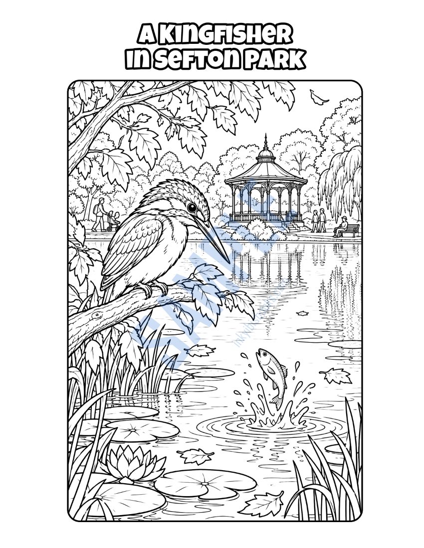 Colouring page from Welcome to Liverpool: "A Kingfisher in Sefton Park"