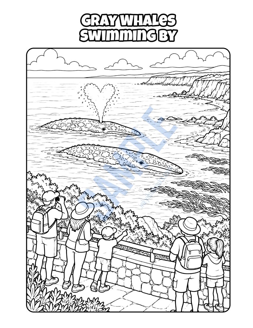 Coloring page from Welcome to San Diego: "Gray Whales Swimming By"