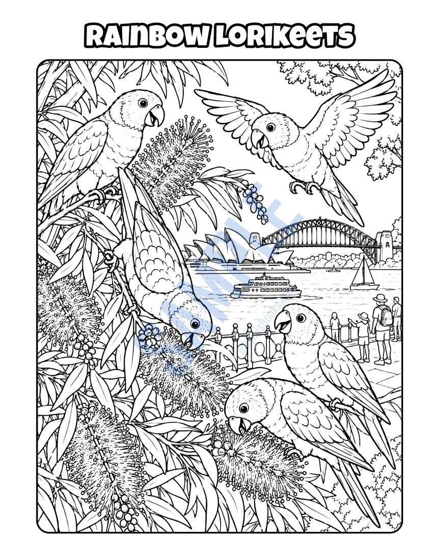 Colouring page from Welcome to Sydney: "Rainbow Lorikeets"