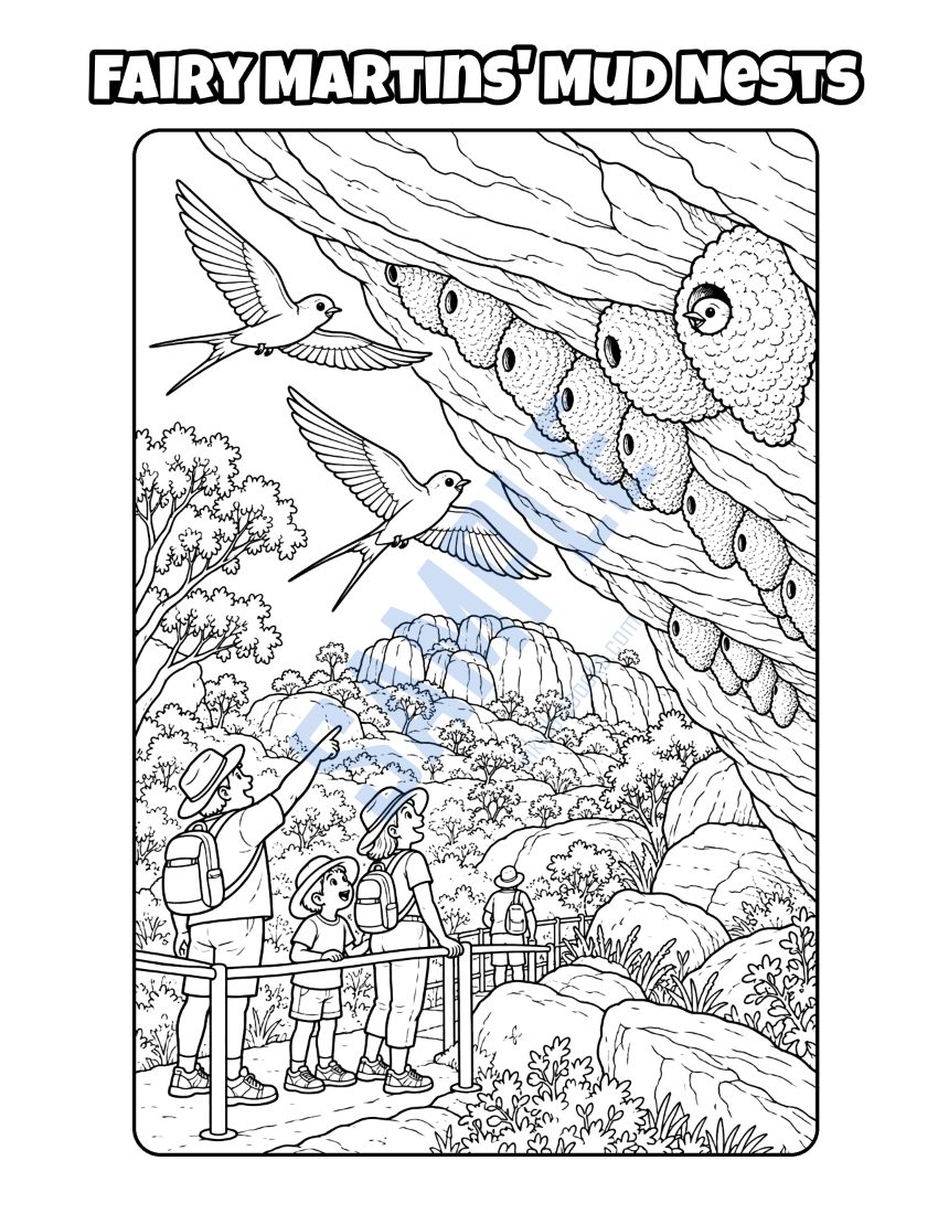 Colouring page from Welcome to Tennant Creek: "Fairy Martins' Mud Nests"