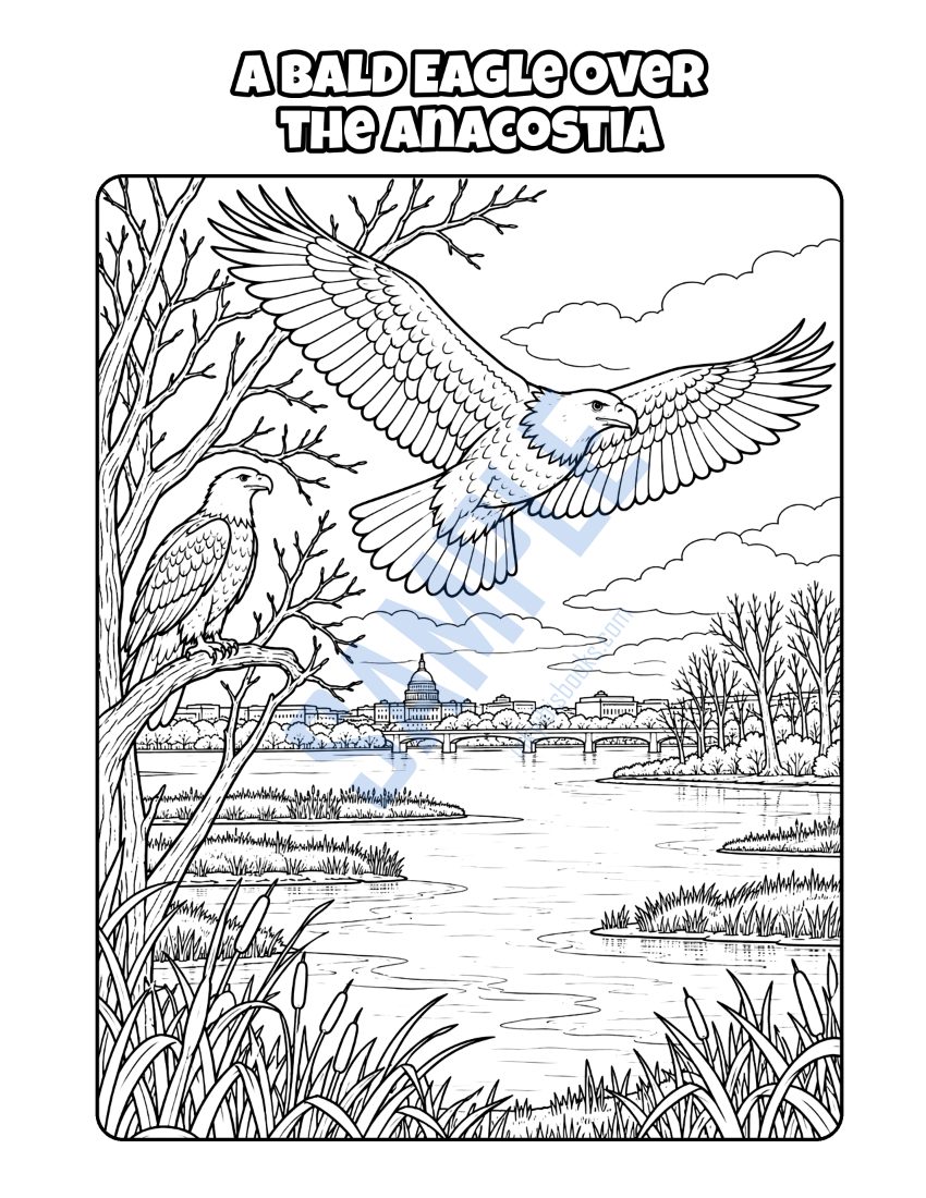 Coloring page from Welcome to Washington, D.C.: "A Bald Eagle over the Anacostia"